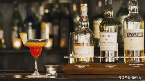 科技部警示 酒精是一類致癌物，小酌亦傷身